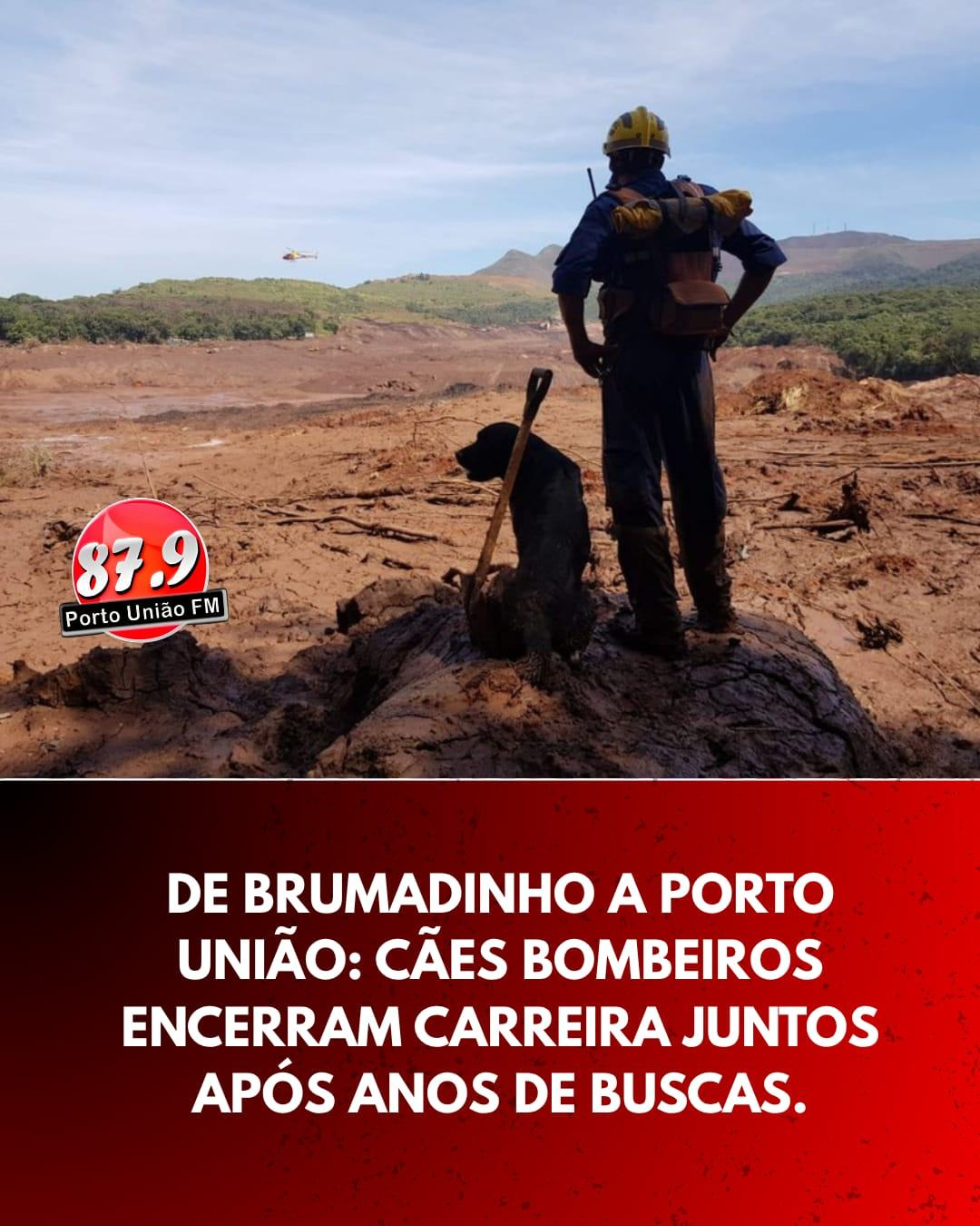 Após anos dedicados a operações de busca e salvamento em Santa Catarina, os cães de resgate Iron e Léia se despedem oficialmente do serviço operacional do Corpo de Bombeiros Militar em uma aposentadoria marcada por simbolismo e reconhecimento.