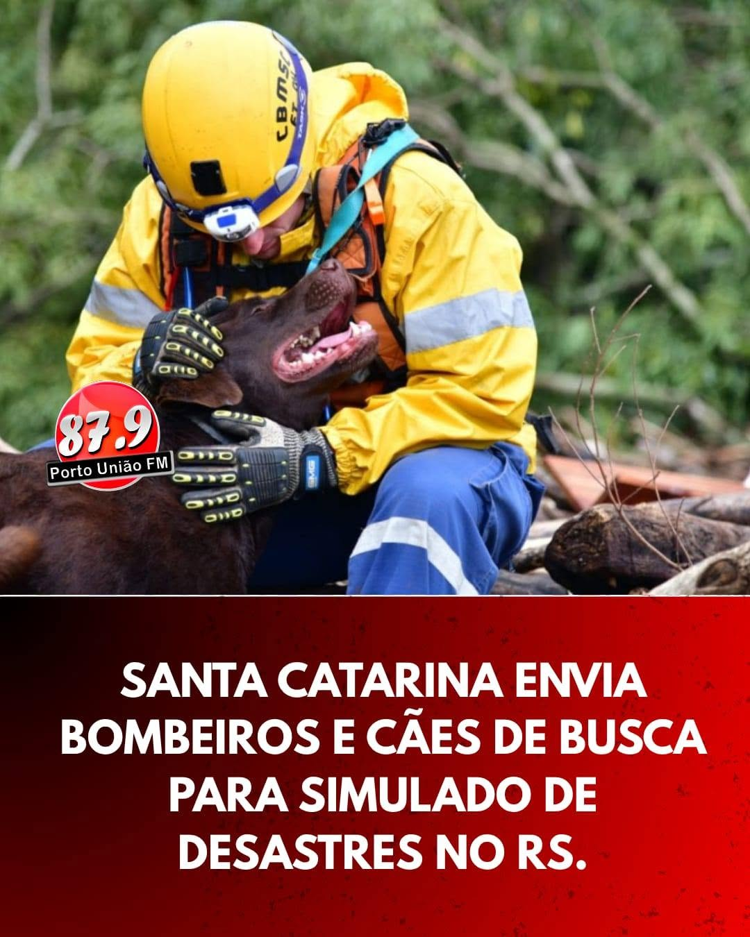 Santa Catarina enviará bombeiros e cães de busca para simulado interestadual de desastres no Rio Grande do Sul