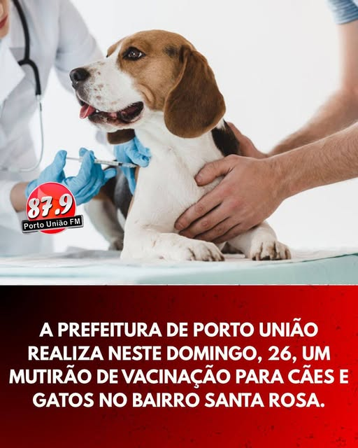 Mutirão de vacinação para pets acontece neste domingo em Porto União