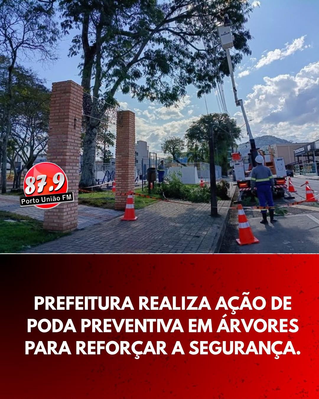 Prefeitura realiza poda preventiva de árvores em praças de União da Vitória para reforçar segurança