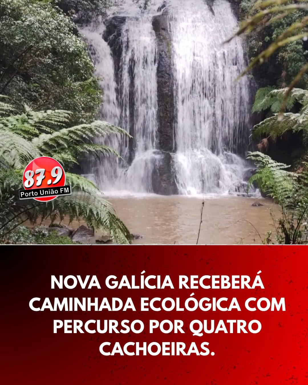 ​Caminhada Ecológica de Nova Galícia deve reunir centenas de participantes em Porto União