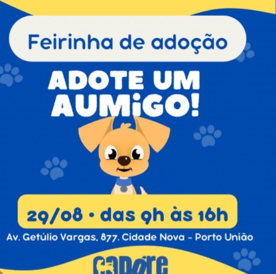 Um dia para encontrar um novo melhor amigo!
